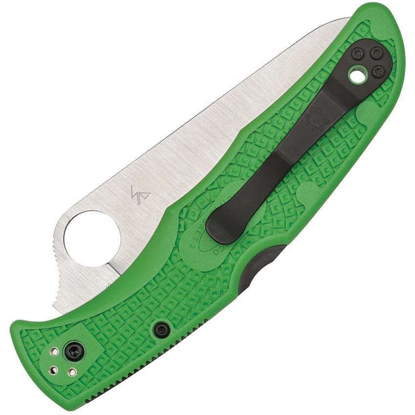 Spyderco 91FPGR2 Pacific Salt 2 Lockback Green 2 Spyderco 91FPGR2 Pacific Salt 2 Lockback Green - Image 2