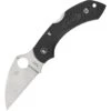 Spyderco Knives 28FPWCBK2 Dragonfly 2 Lockback Knife
