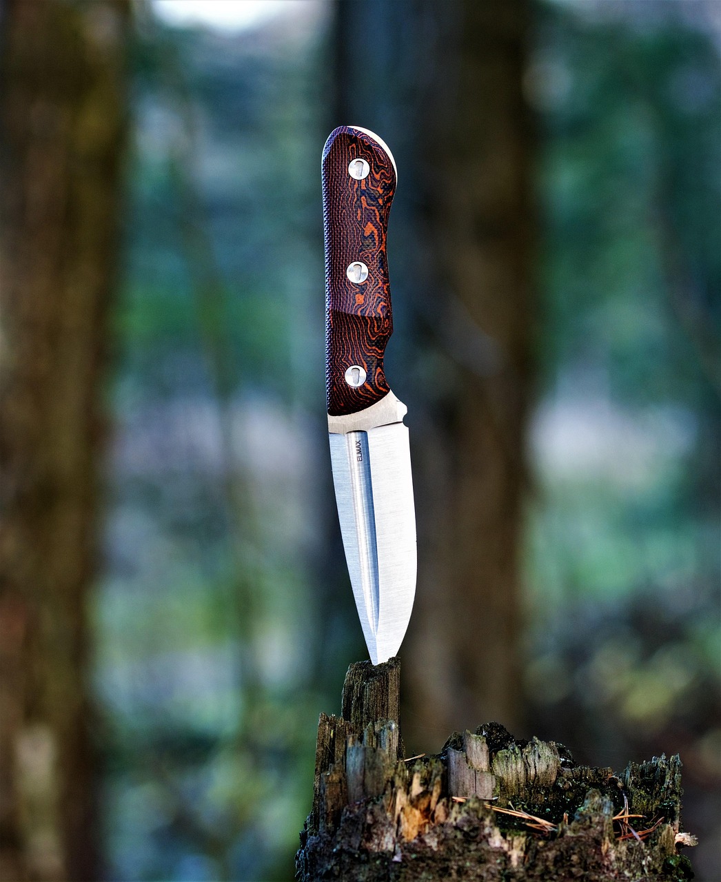 Spyderco Knives -Spyderco Knives knife 6194716 1280